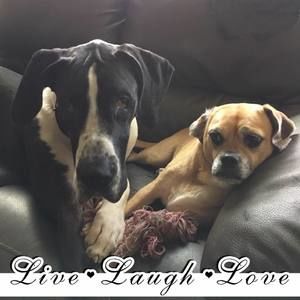 Meet your Posher, Terri